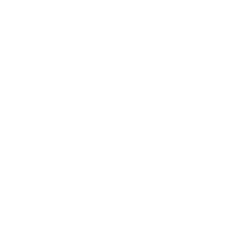 Individuell anpassbar icon