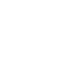 Maximale Kontrolle icon